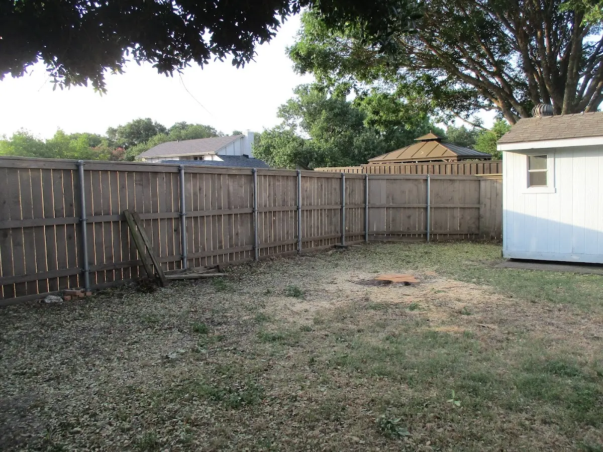 Cleared yard after professional tree removal in Carlton